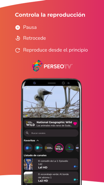 Imagen 0 para Perseo TV