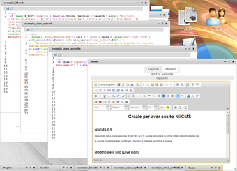 Imagen 0 para NiiCMS