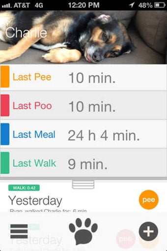 Image 0 for Paw Tracks - dog walking …