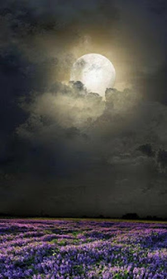 Imagen 2 para HD Mystic Night Live Wall…