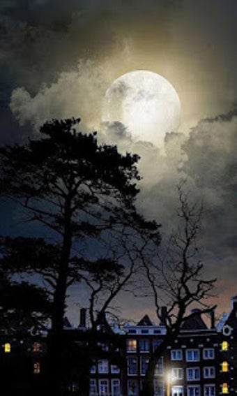 Imagen 0 para HD Mystic Night Live Wall…