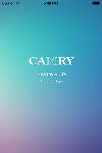 Image 0 for CAMRY scale