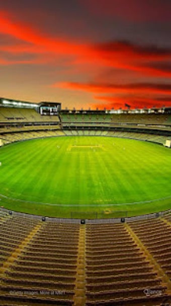Image 2 for Cricket Wallpapers