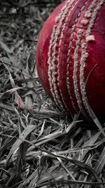 Image 1 for Cricket Wallpapers