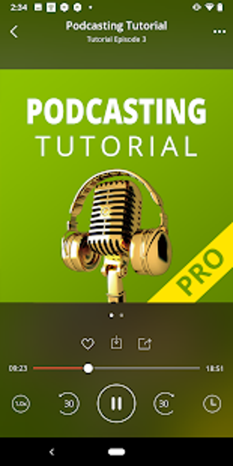 Imagen 3 para Podbean Biz Podcast App