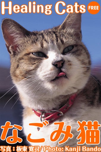 Image 0 for Kanji Bando's Healing Cat…