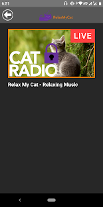 Imagen 1 para Relax My Cat - Relaxing M…