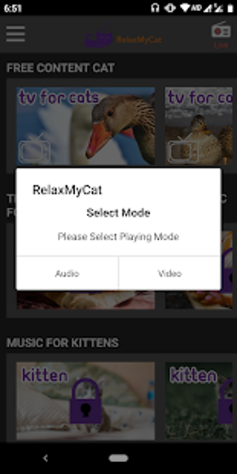 Imagen 2 para Relax My Cat - Relaxing M…