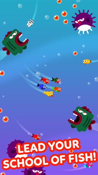 Image 3 for Fish & Trip