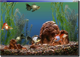 Image 2 for Goldfish Aquarium