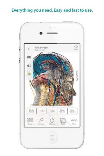 Image 3 for Human Anatomy Atlas - 3D …