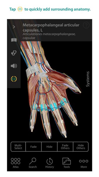 Image 3 for Human Anatomy Atlas - 3D …