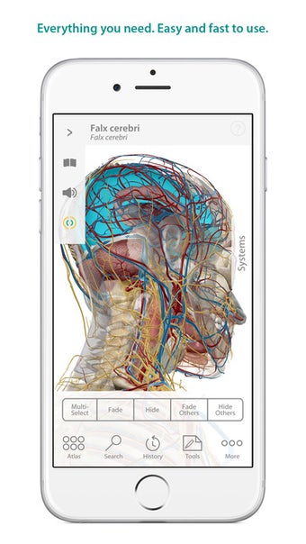 Image 1 for Human Anatomy Atlas - 3D …