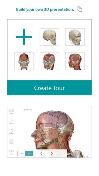 Image 4 for Human Anatomy Atlas - 3D …
