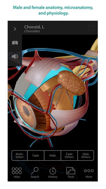 Image 0 for Human Anatomy Atlas - 3D …