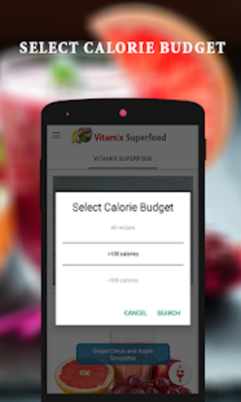 Image 2 for Vitamix Superfood Smoothi…