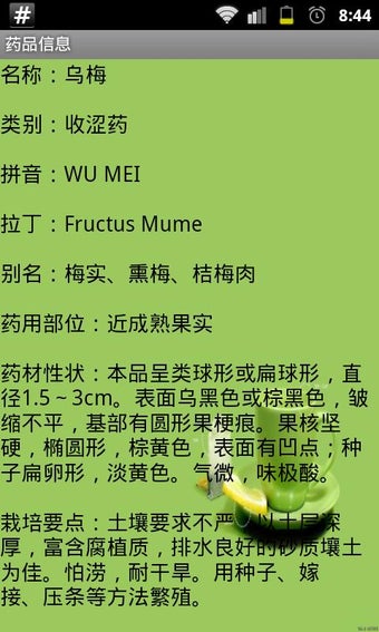 Image 2 for Chinese Herbs Medicine Qu…