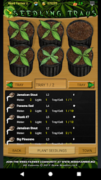 Image 1 for Weed Farmer University