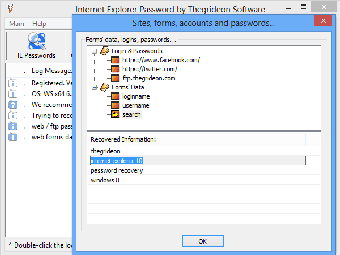 Image 0 for Internet Explorer Passwor…
