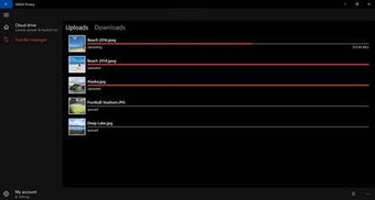 Image 1 for MEGA Privacy (beta) for W…