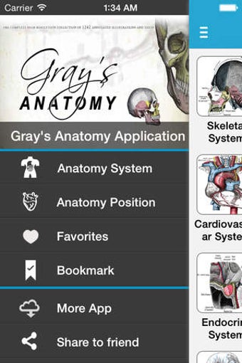 Imagen 0 para Gray's Anatomy 2014