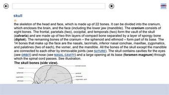 Image 2 for Oxford Concise Medical Di…