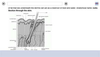 Image 3 for Oxford Concise Medical Di…