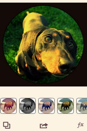 Imagen 0 para fisheye - camera fisheye …
