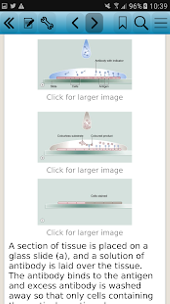 Image 3 for Wheater's Functional Hist…