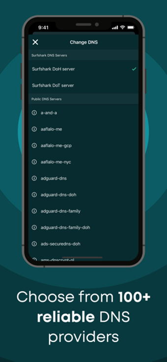 Image 2 for DNS Changer - Trust DNS