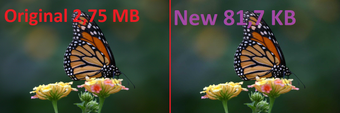 Image 3 for Image Reducer