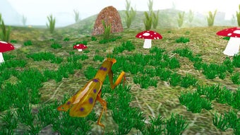 Image 0 for Mantis Life and Hunting S…