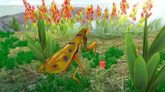 Image 1 for Mantis Life and Hunting S…