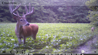 Image 1 for GameFinder Mobile