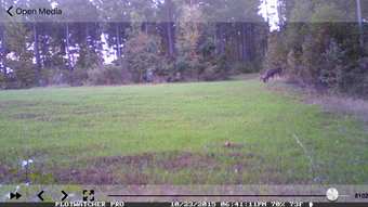 Image 1 for GameFinder Mobile