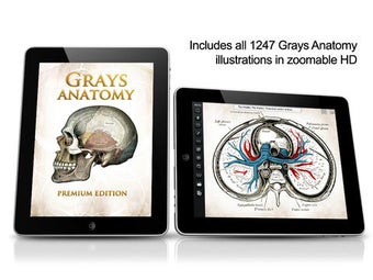 Imagen 0 para Gray's Anatomy Premium fo…