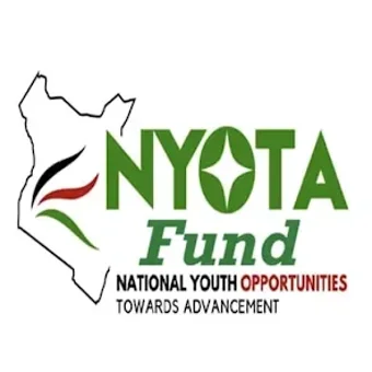 Image 0 for NyotaPay Fund.