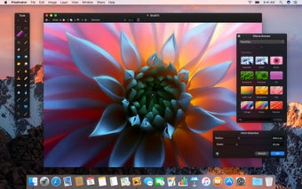 Imagen 2 para Pixelmator