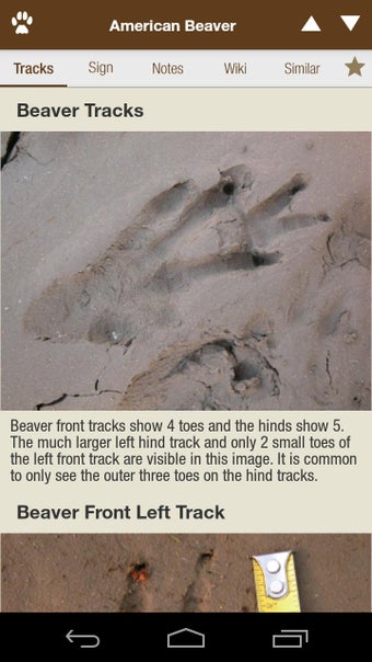 Image 0 for iTrack Wildlife Lite