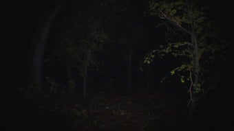 Image 0 for Paranormal Tales