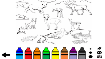 Image 2 for Mi'kmaw Colouring