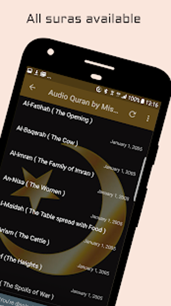 Imagen 3 para Audio Quran by Mishary Al…