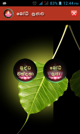 Imagen 2 para Bodhi Poojawa
