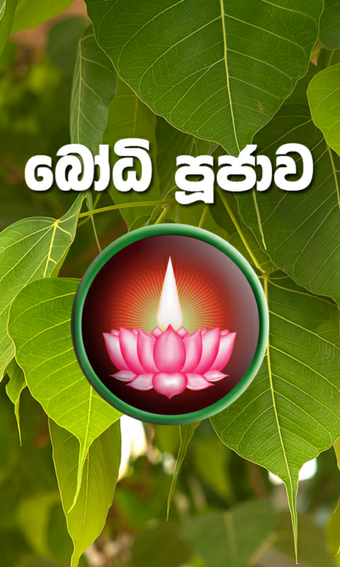Imagen 3 para Bodhi Poojawa