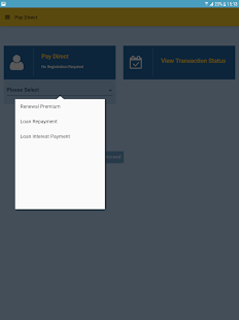 Imagen 1 para LIC PayDirect