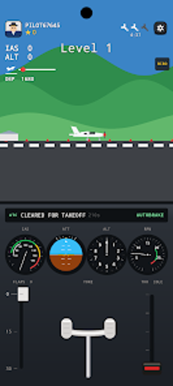 Imagen 0 para FlightSim 2D