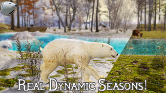 Imagen 0 para Polar Bear Simulator 2