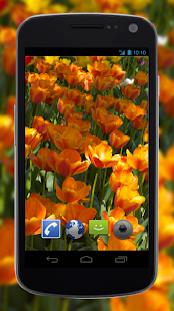 Image 2 for 4K Flower Glade Video Liv…