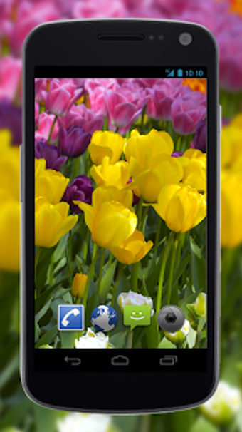 Image 1 for 4K Flower Glade Video Liv…