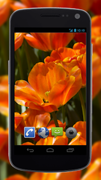 Image 3 for 4K Flower Glade Video Liv…